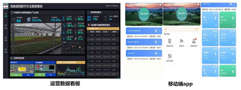 種植基地高清視頻監控應用效果